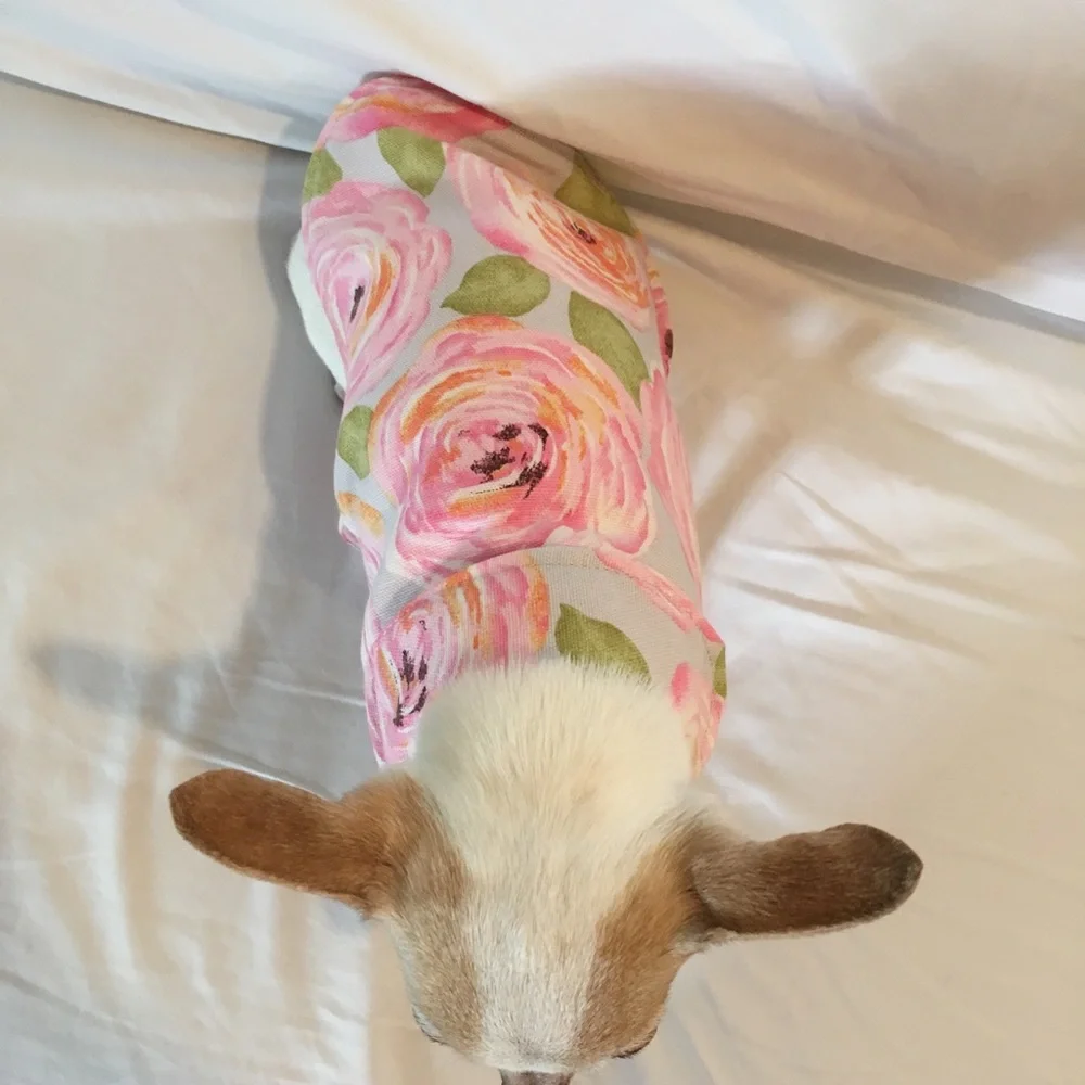 Handmade super cute